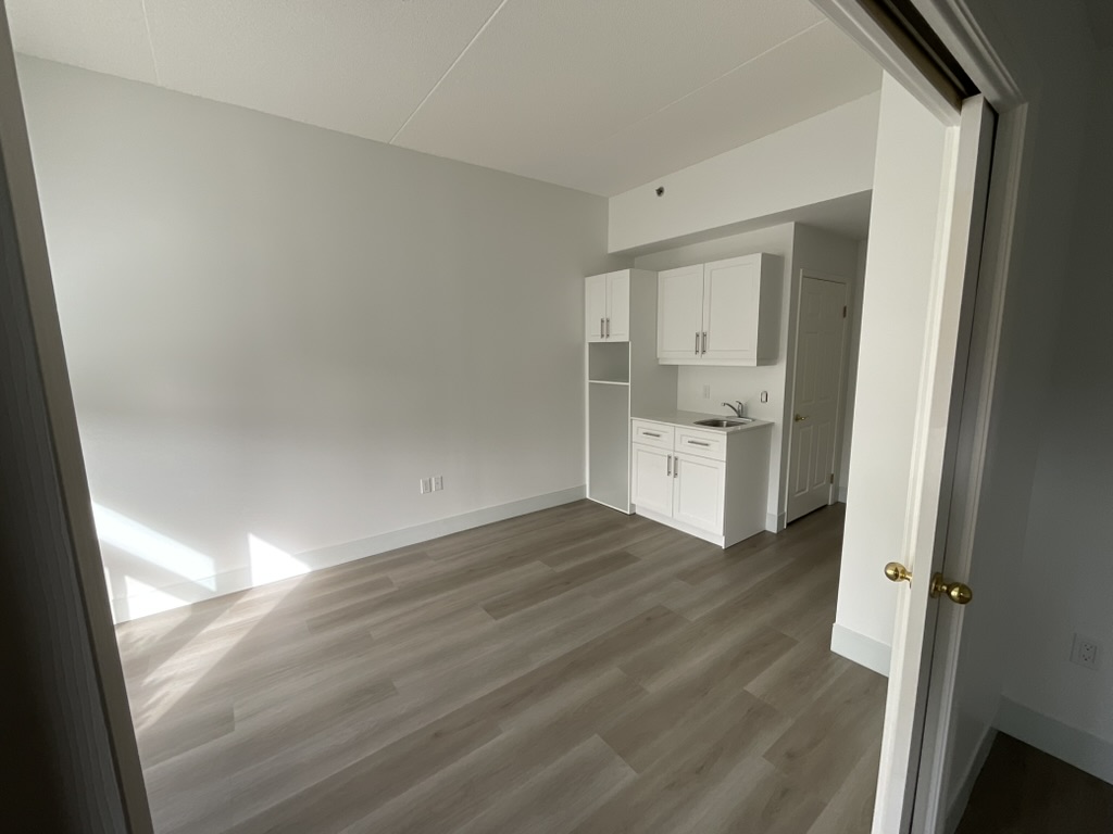 Living Stone Renos & Painting Inc. call us to +1 647-885-0843